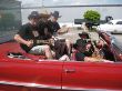 Roding-Band-Cadiallac.jpg