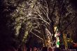 2014-07-19_Hollerner-See-Fest#411.jpg